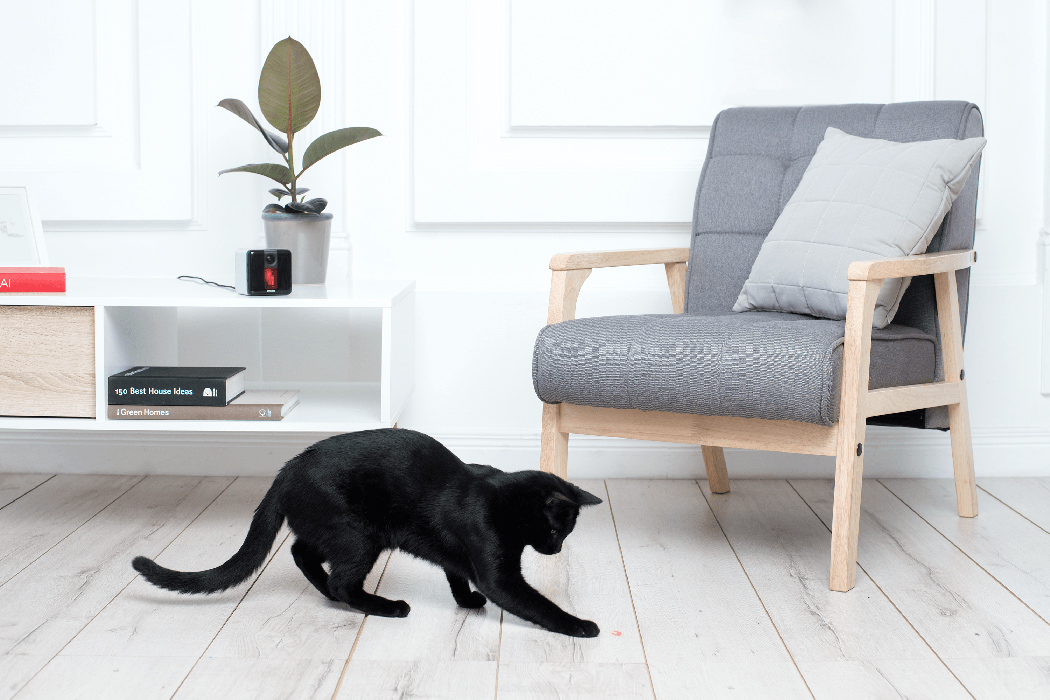 voice，laser，interaction，Small cube，Smart camera，Pets，