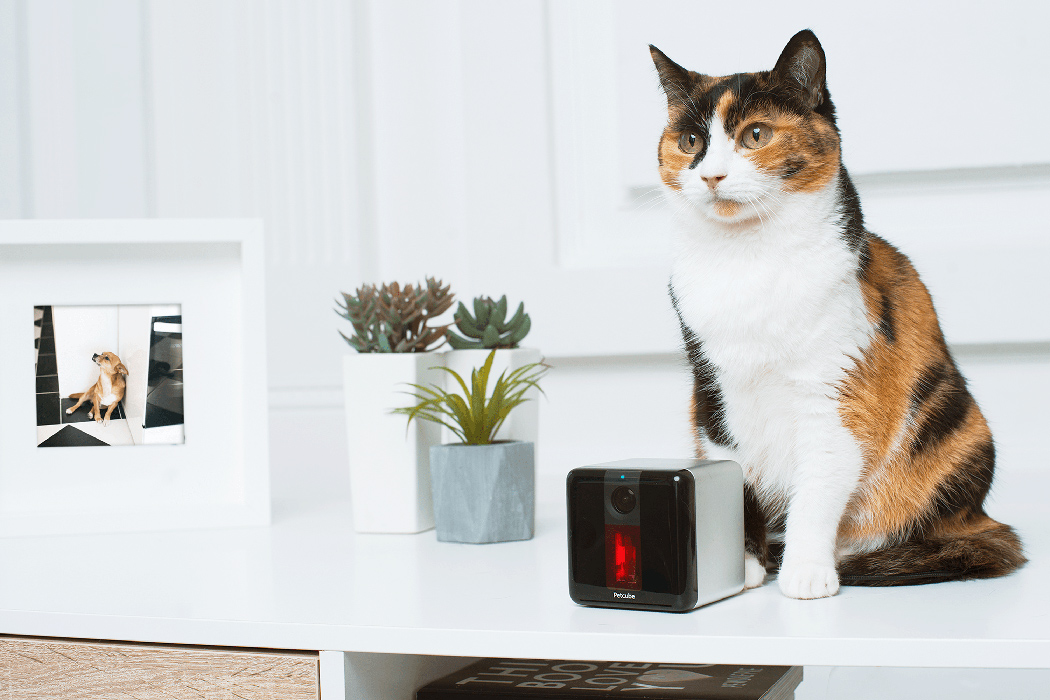 voice，laser，interaction，Small cube，Smart camera，Pets，
