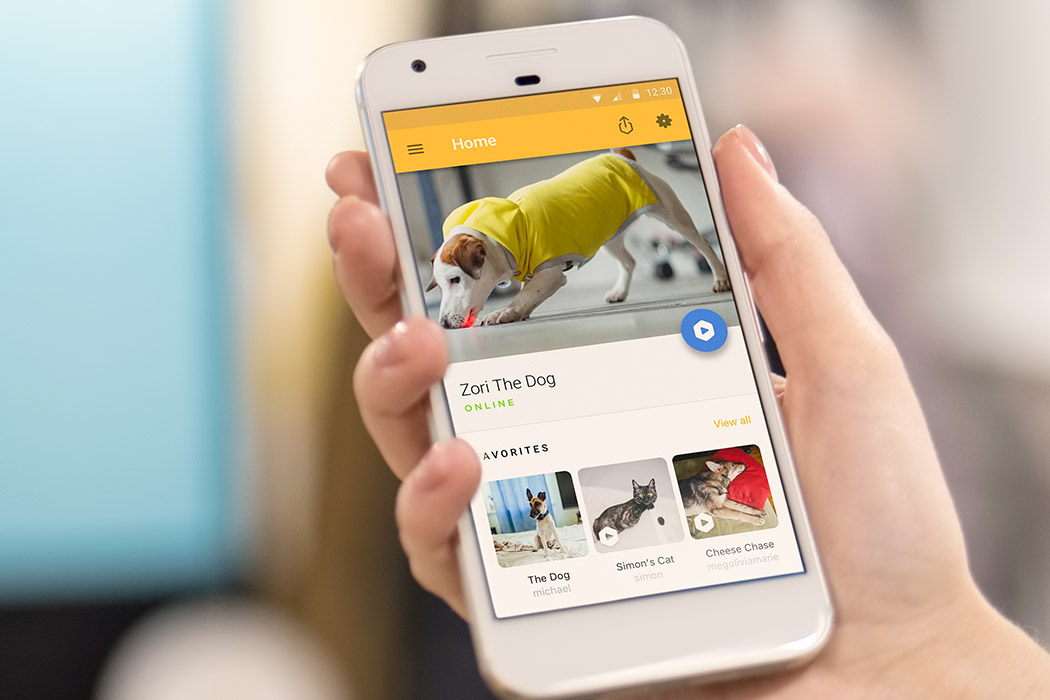 voice，laser，interaction，Small cube，Smart camera，Pets，