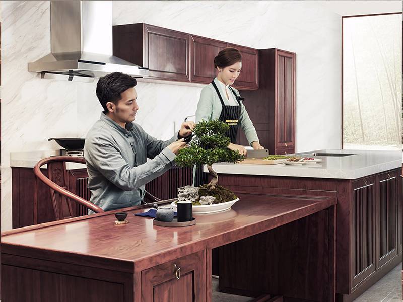 New Chinese style，kitchen，Design，furniture，Successful design competition，