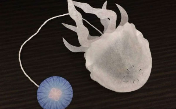 Tea bag，originality，Collection，Home Furnishing，