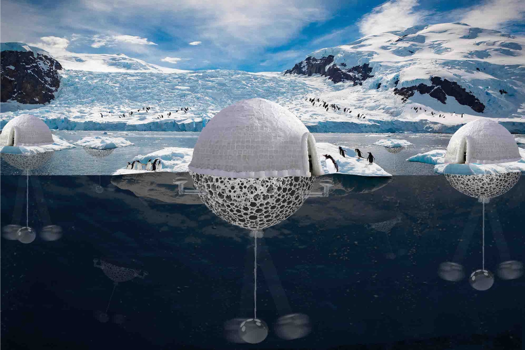 global warming，penguin，existence，pendulum，igloos，