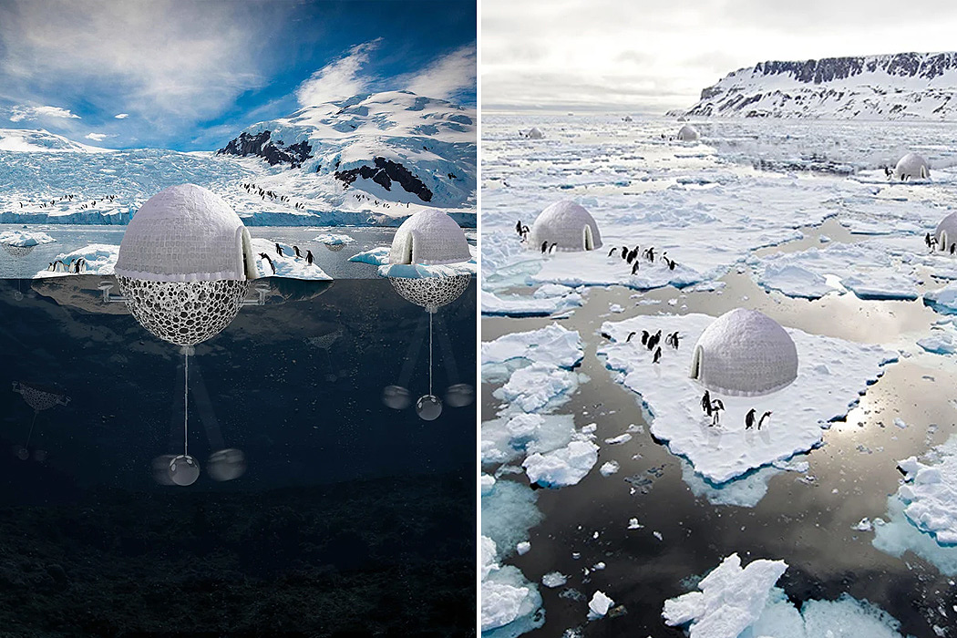 global warming，penguin，existence，pendulum，igloos，