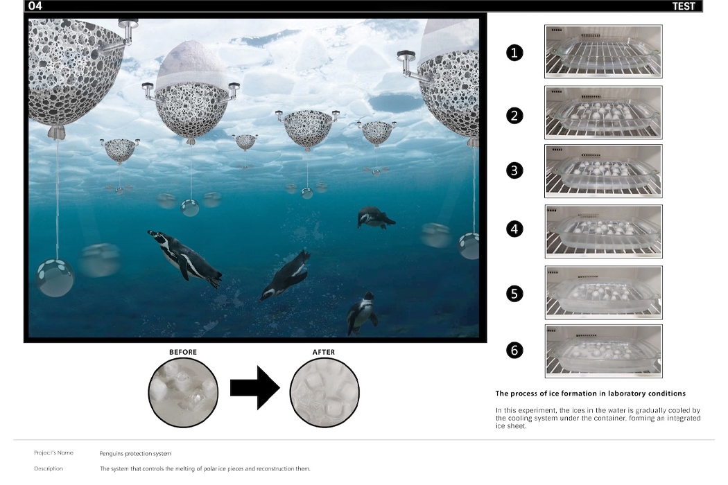 global warming，penguin，existence，pendulum，igloos，
