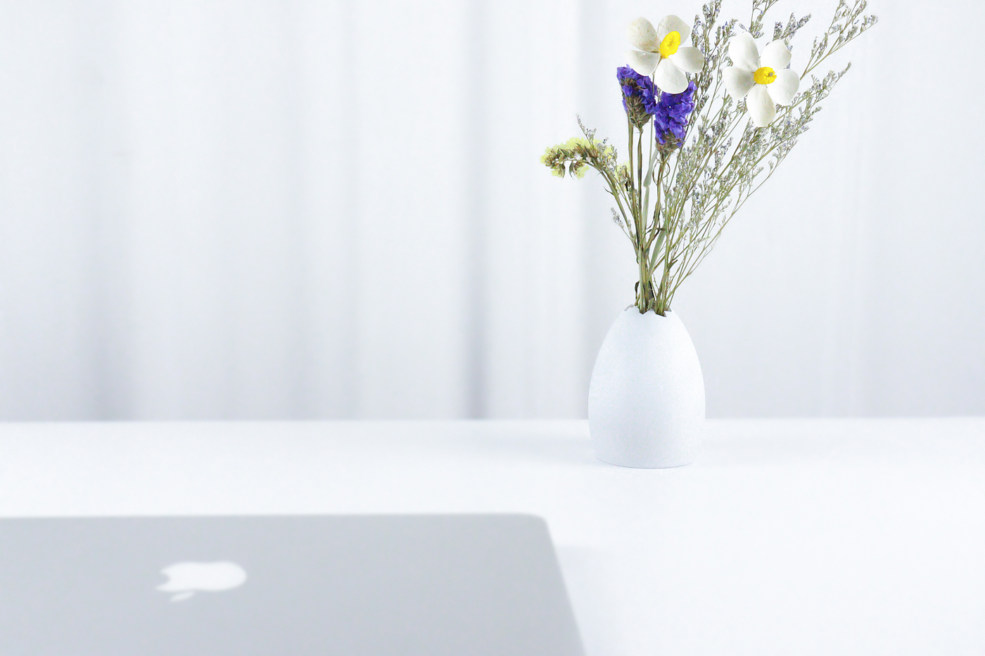 vase，Eggshell，Dried flower，vitality，