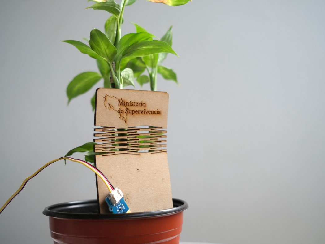 interactive，Biomarker，feedback，Wearable ，Plant Parent，