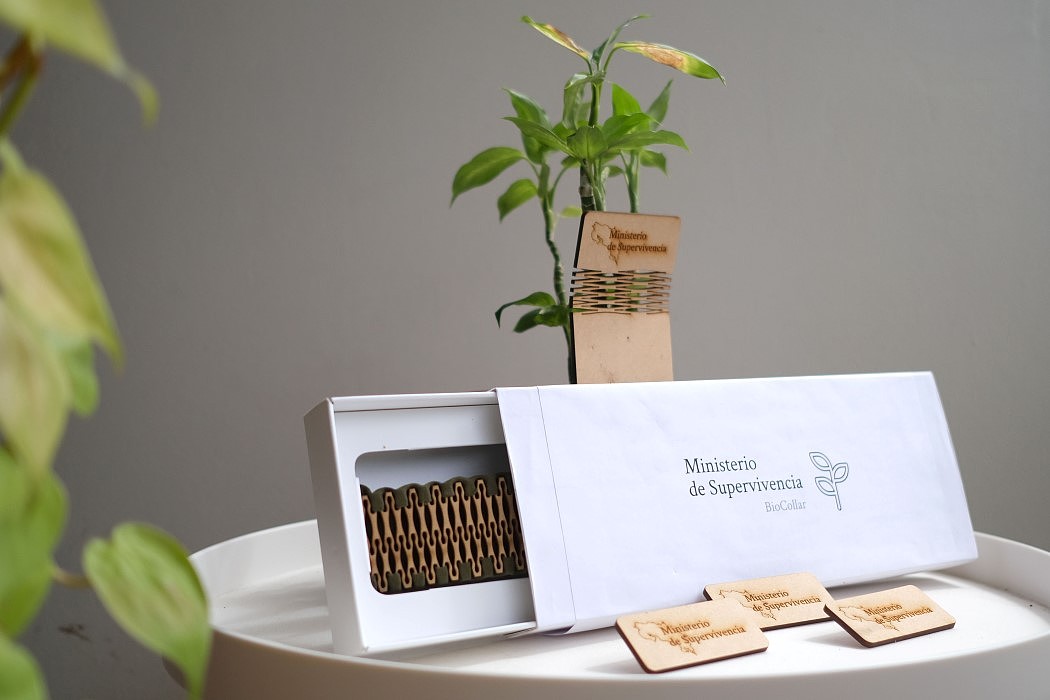 interactive，Biomarker，feedback，Wearable ，Plant Parent，