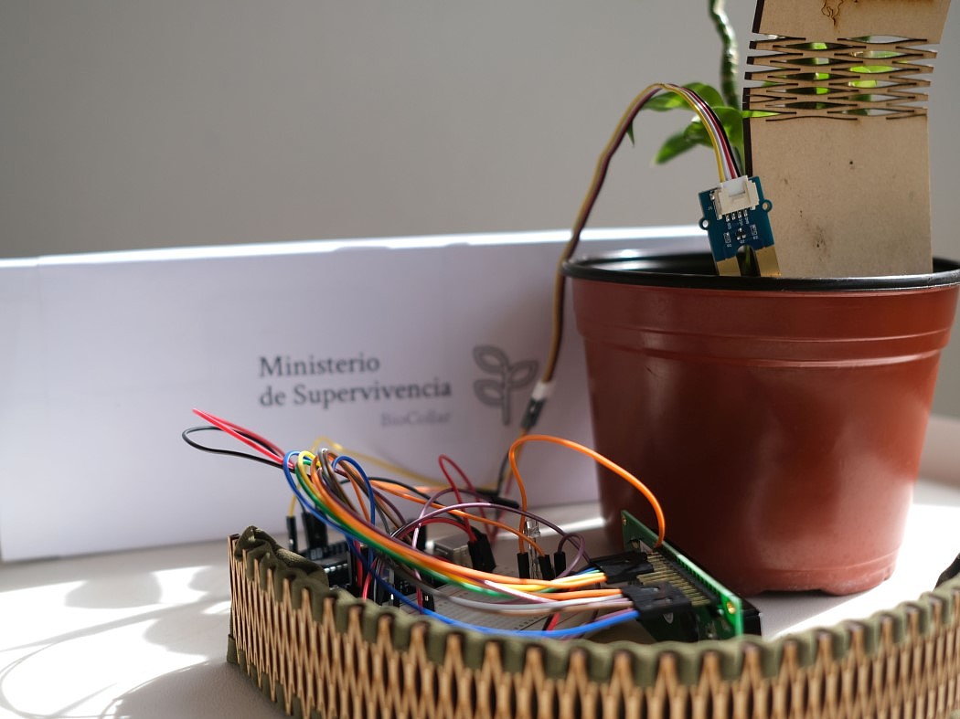 interactive，Biomarker，feedback，Wearable ，Plant Parent，