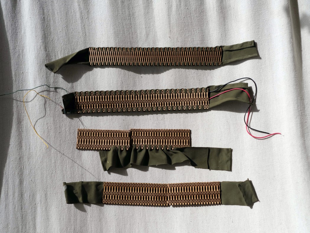 interactive，Biomarker，feedback，Wearable ，Plant Parent，