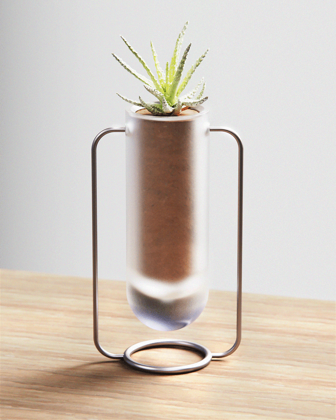 概念，磨砂玻璃，玻璃，花瓶，植物，极简主义，
