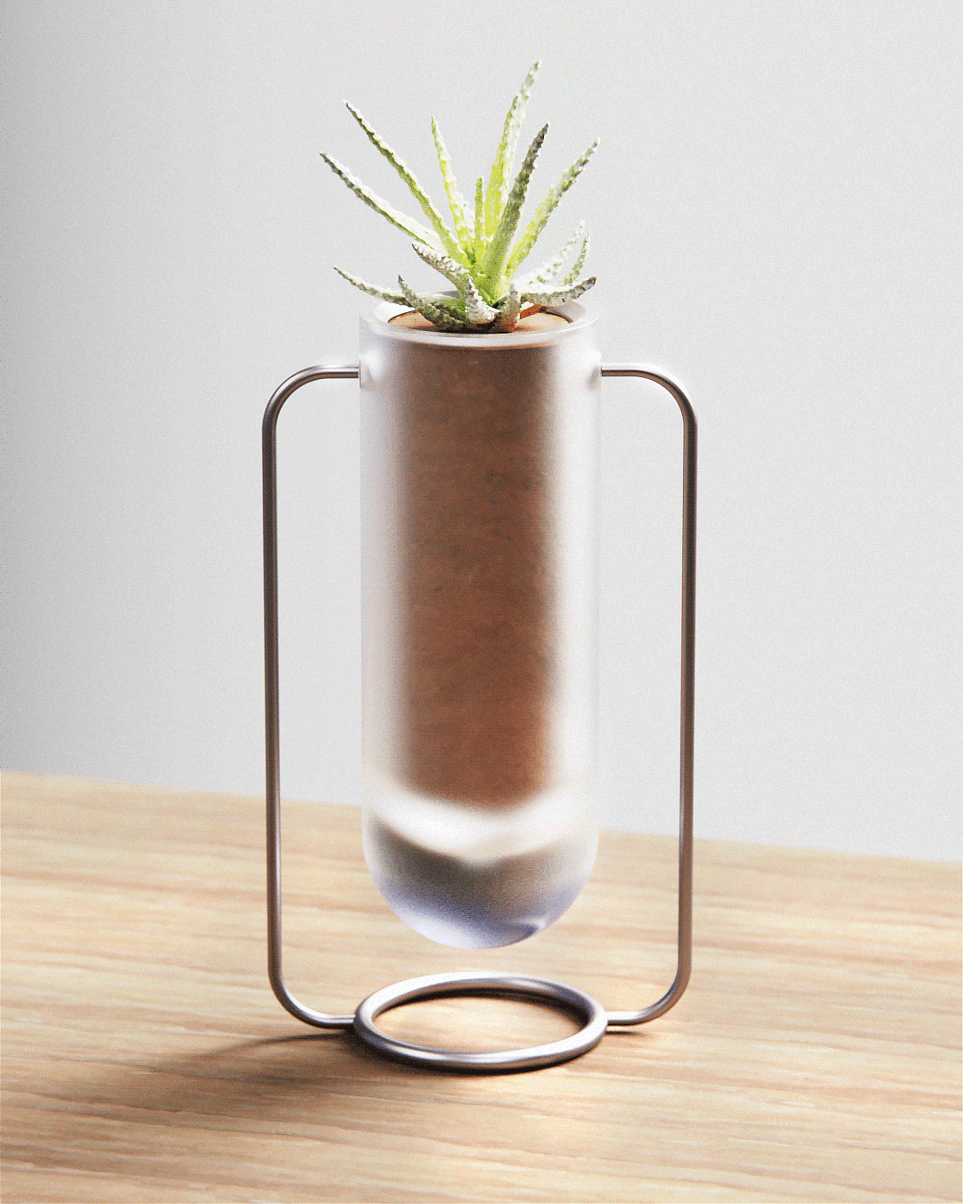 concept，Frosted glass，Glass，vase，Botany，Minimalism，