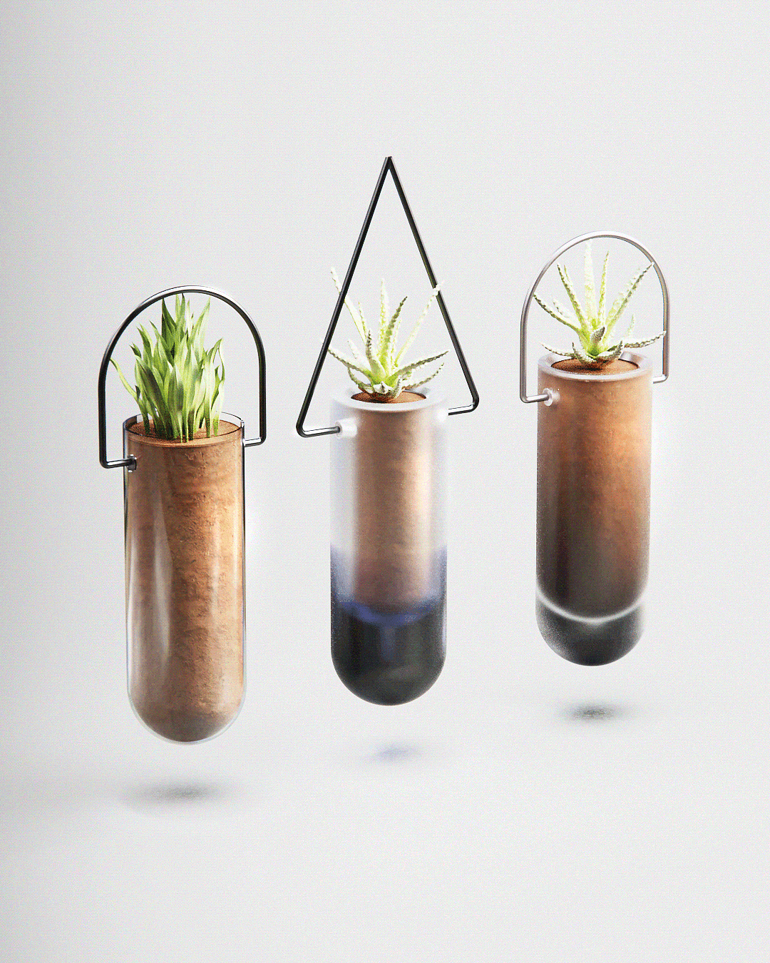 概念，磨砂玻璃，玻璃，花瓶，植物，极简主义，