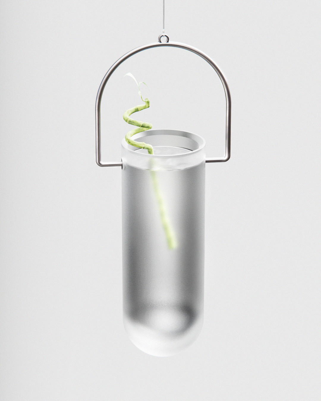 concept，Frosted glass，Glass，vase，Botany，Minimalism，