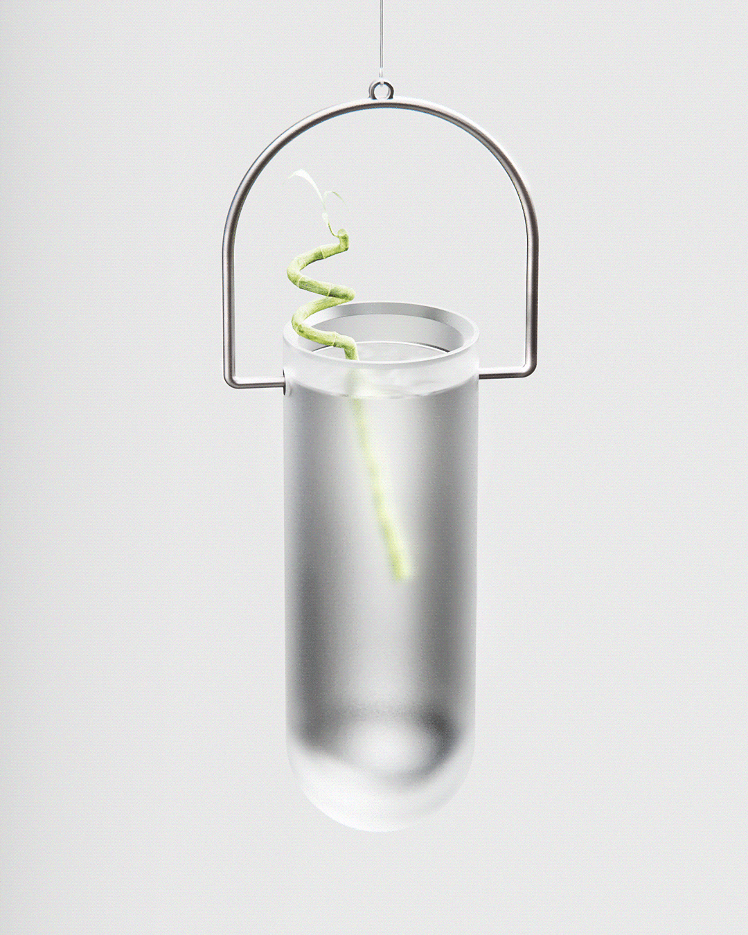 concept，Frosted glass，Glass，vase，Botany，Minimalism，