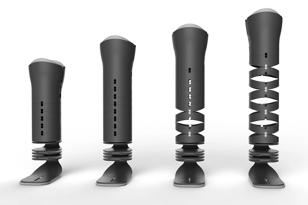 Prosthesis，ring，Adjustable，concept，Medical equipment，