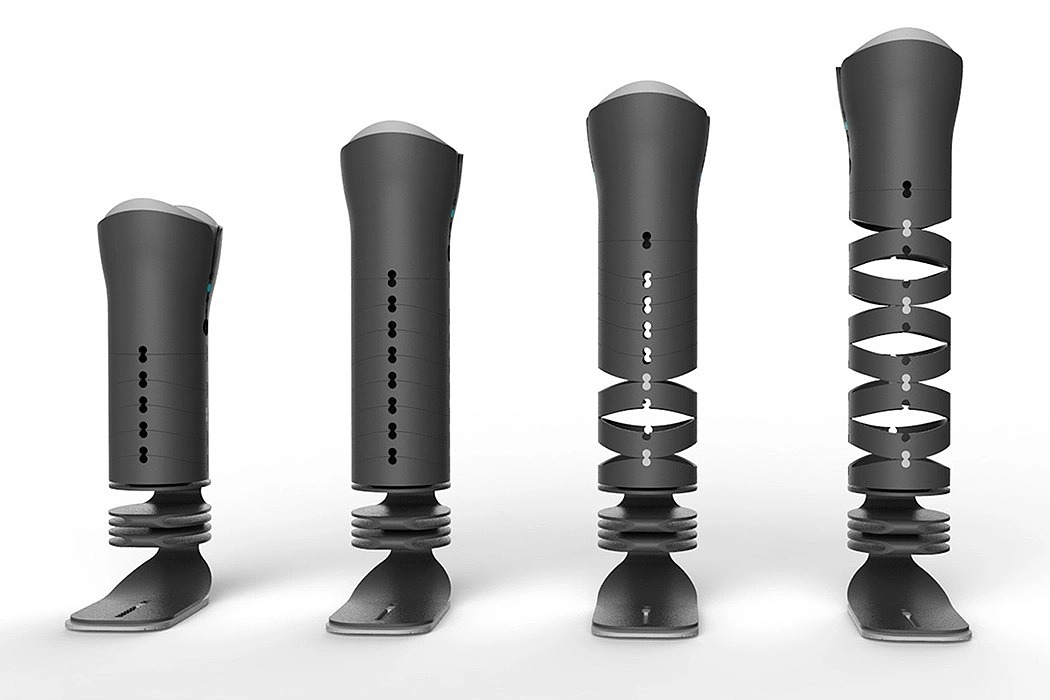 Prosthesis，ring，Adjustable，concept，Medical equipment，