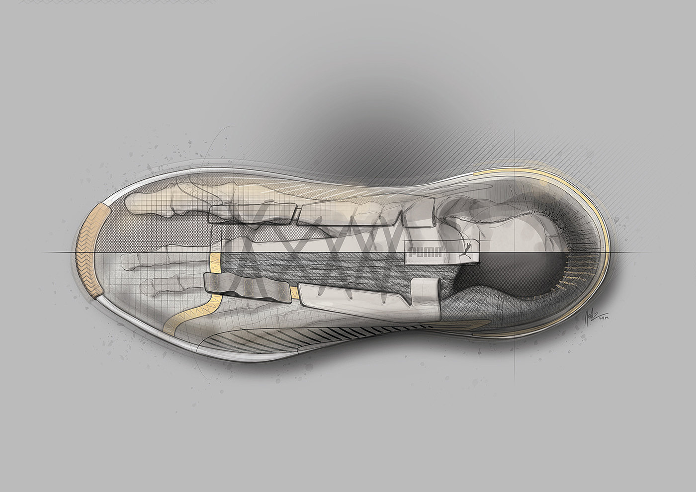 Puma，Basketball shoes，Hand drawn，2d rendering，