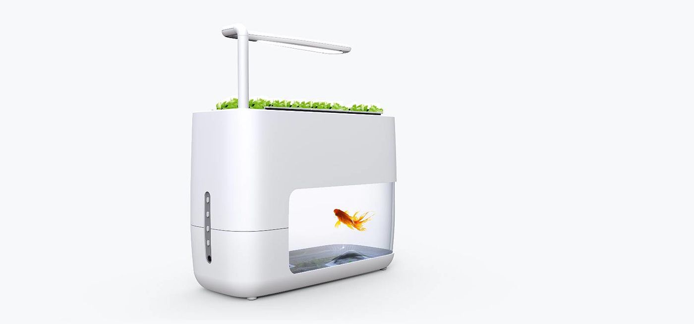 Design，Home Furnishing，originality，Successful design competition，