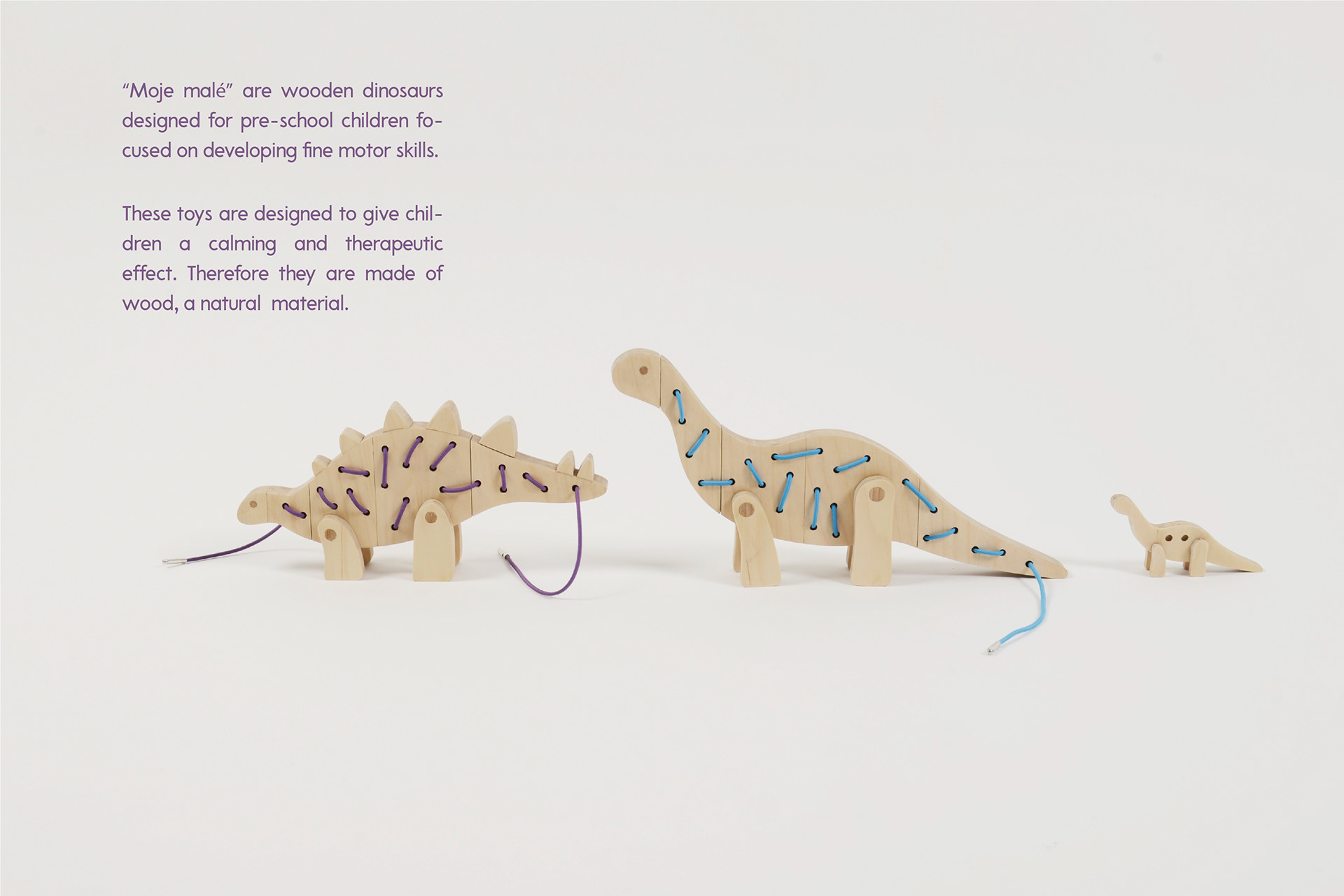 Wooden toys，My Little，dinosaur，