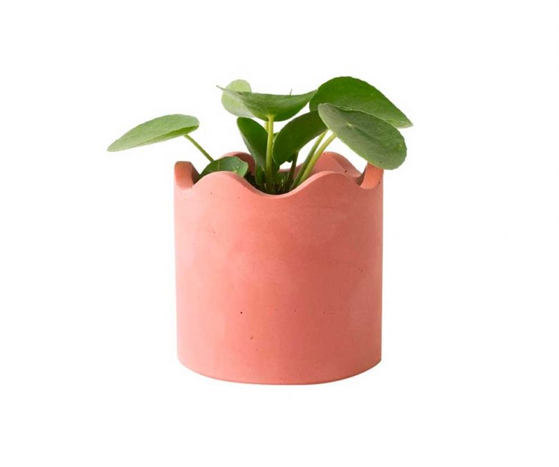 originality，Housewear & Furnishings，product design，industrial design，