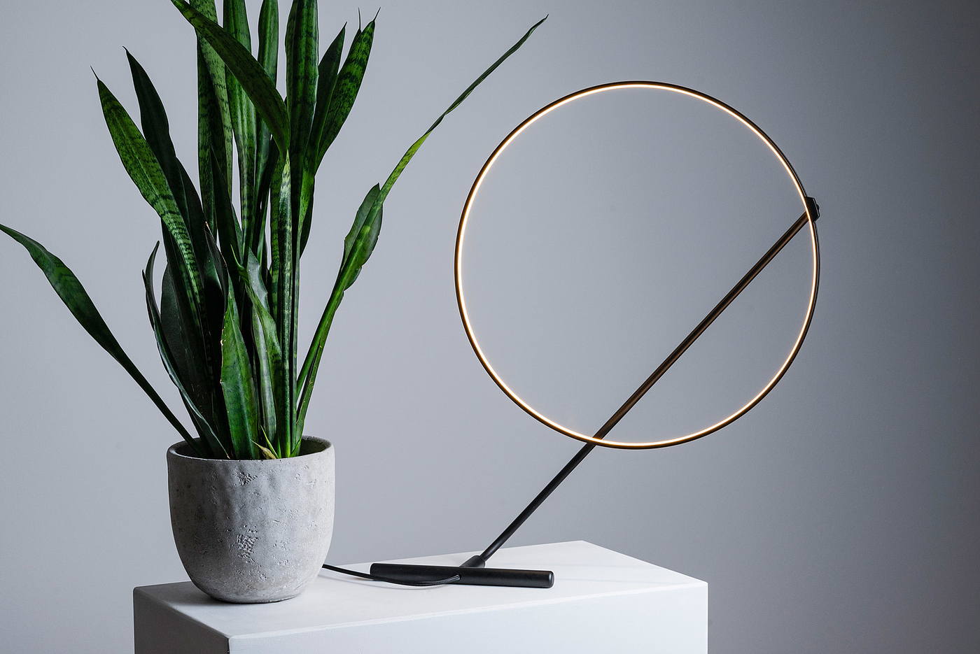 lamp，lighting，annular，interactive，