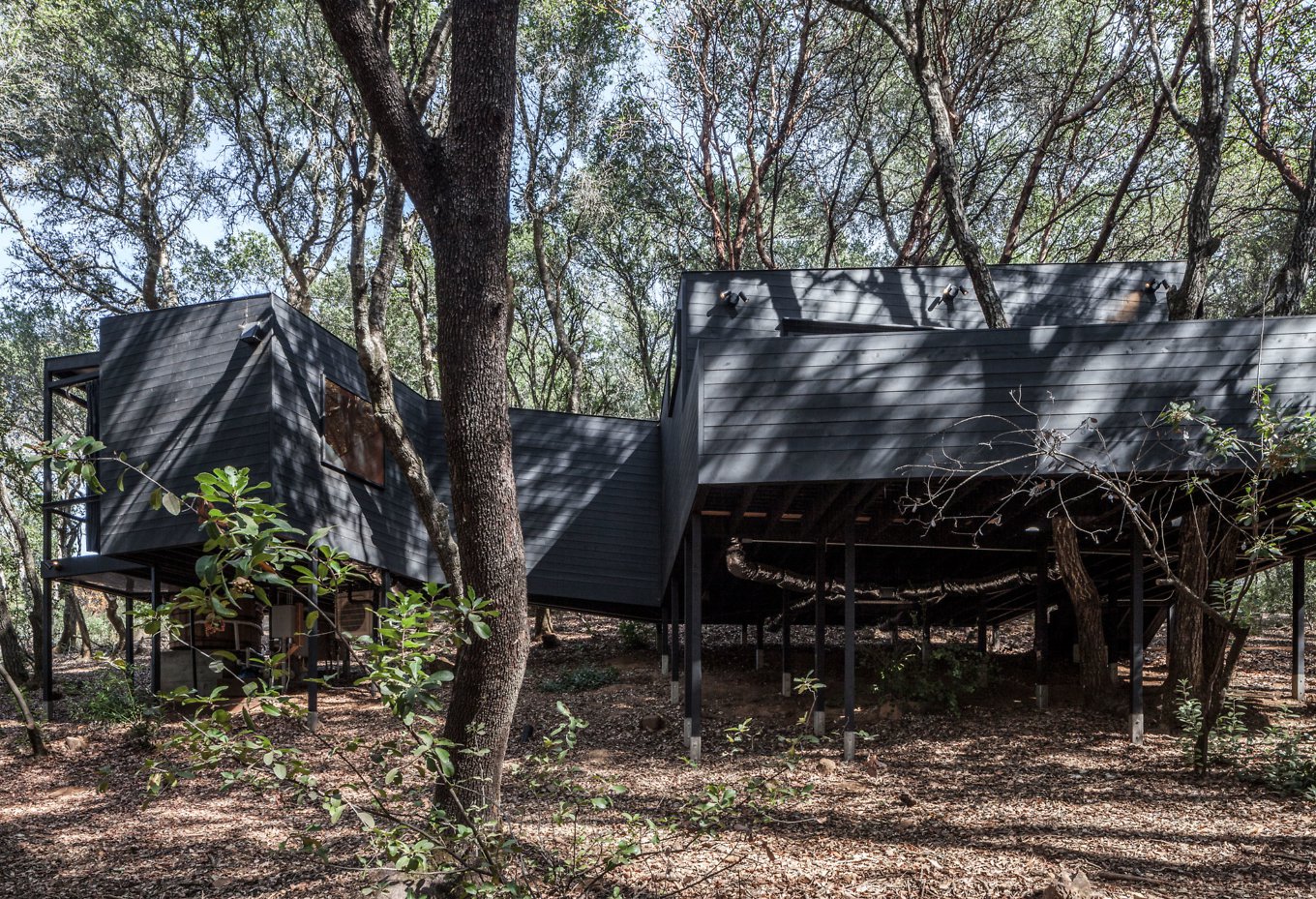 Architecture，woodiness，Tree House，