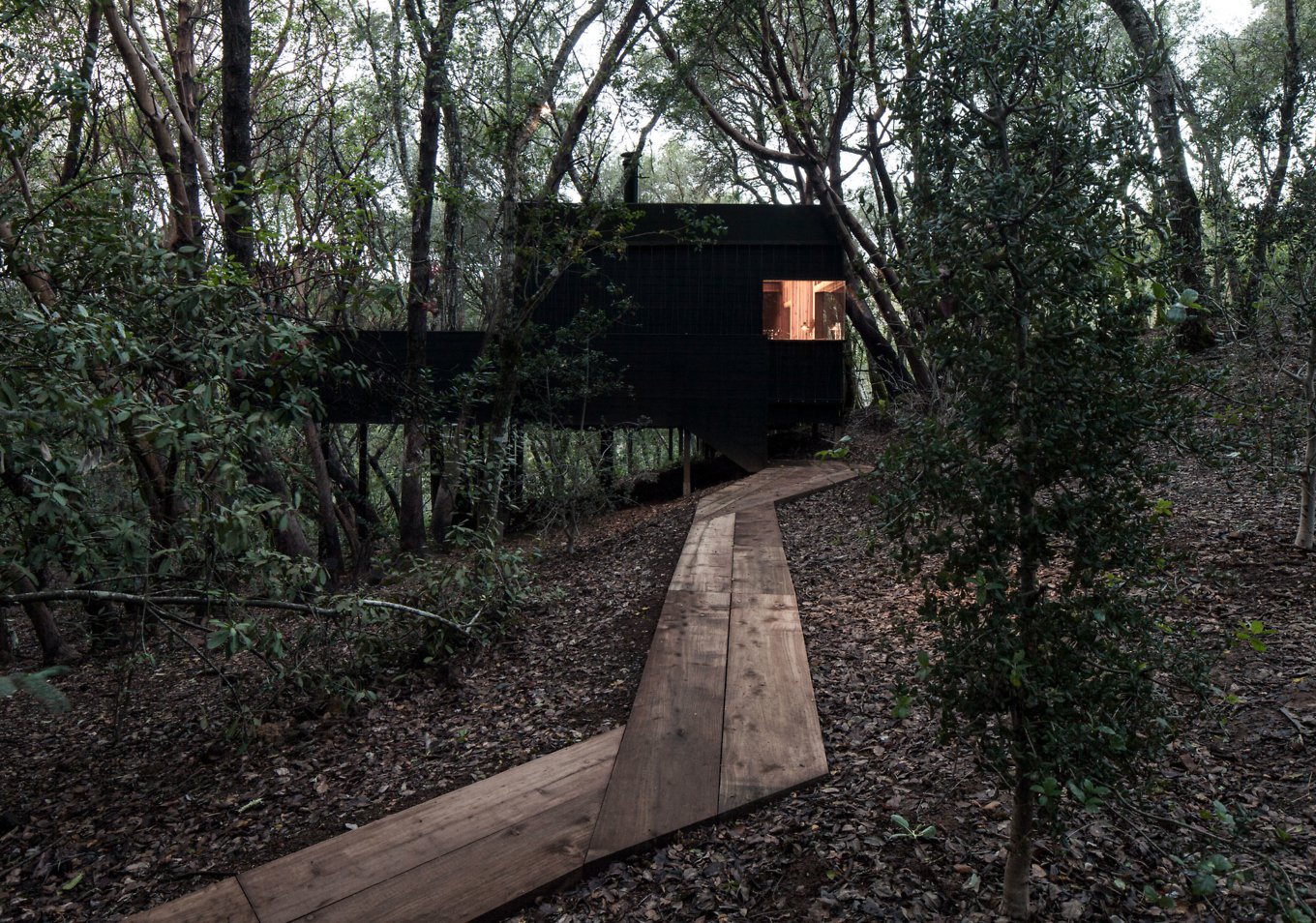 Architecture，woodiness，Tree House，