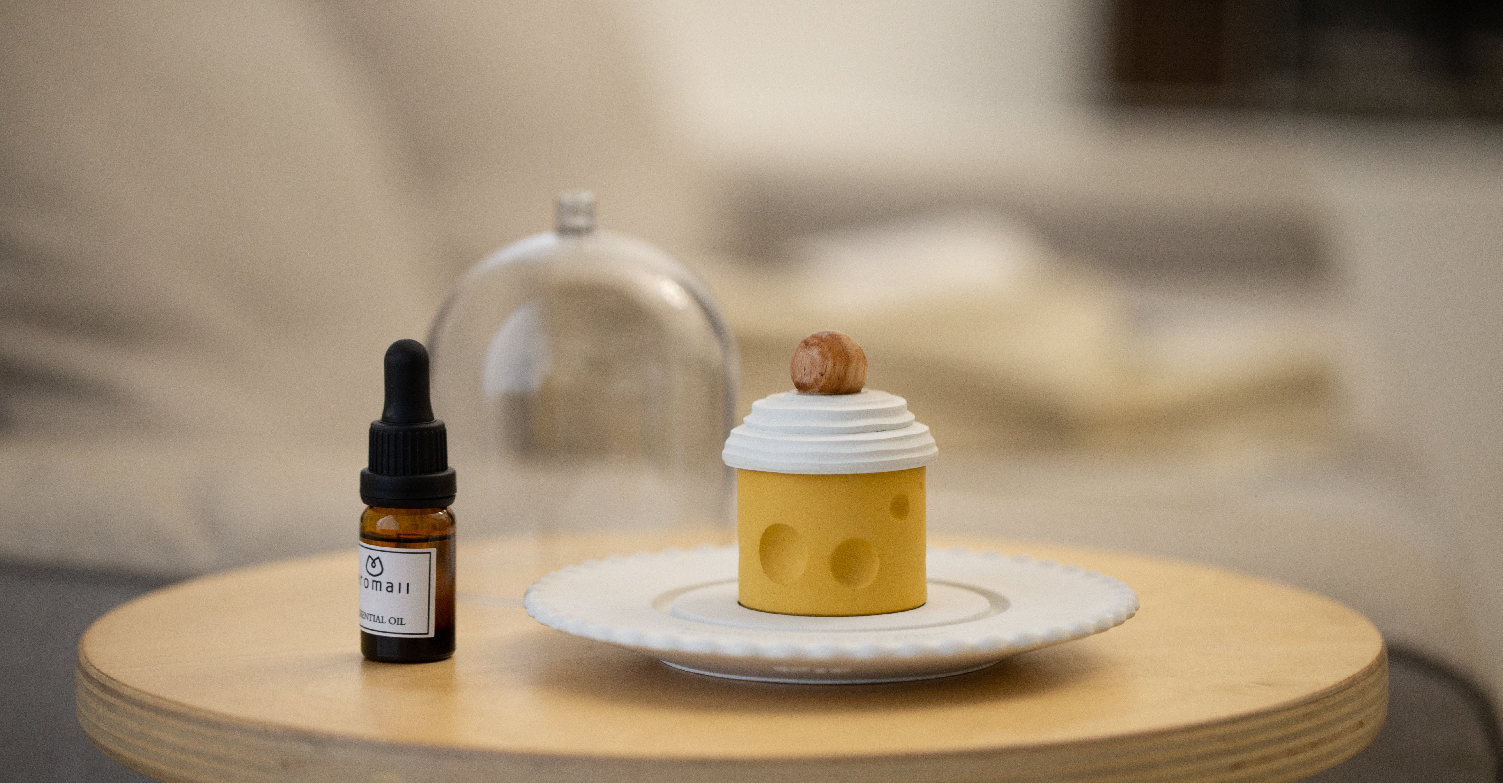 Greedy time，Incense diffuser，Ornaments，