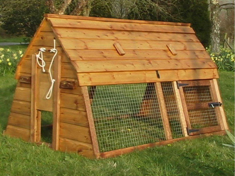 漂酿~两天时间用双手给家禽搭建个温暖的小窝儿