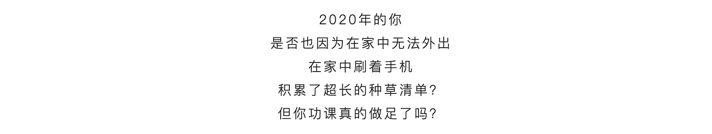 种草，活动，