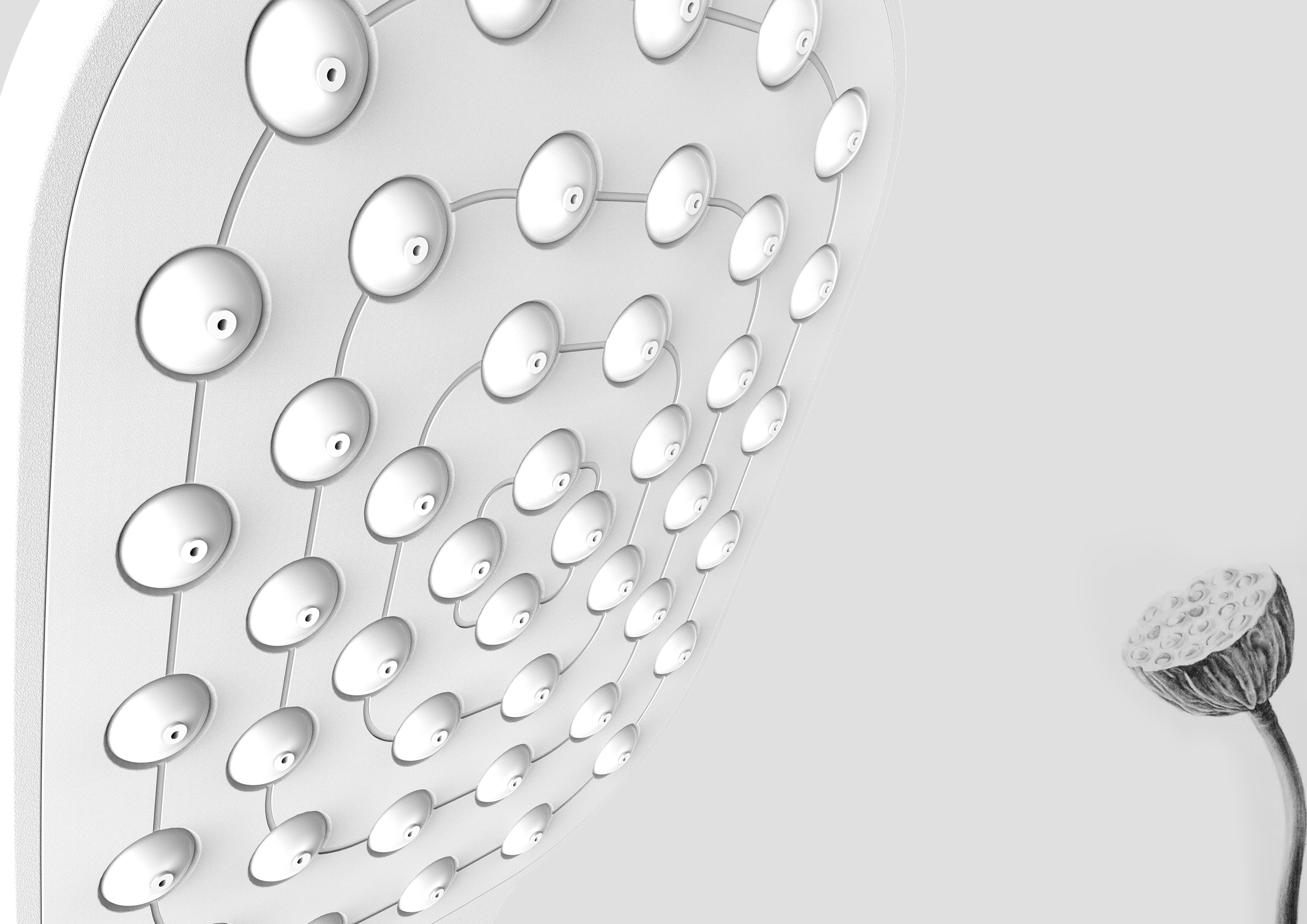 Lotus seed, shower head，