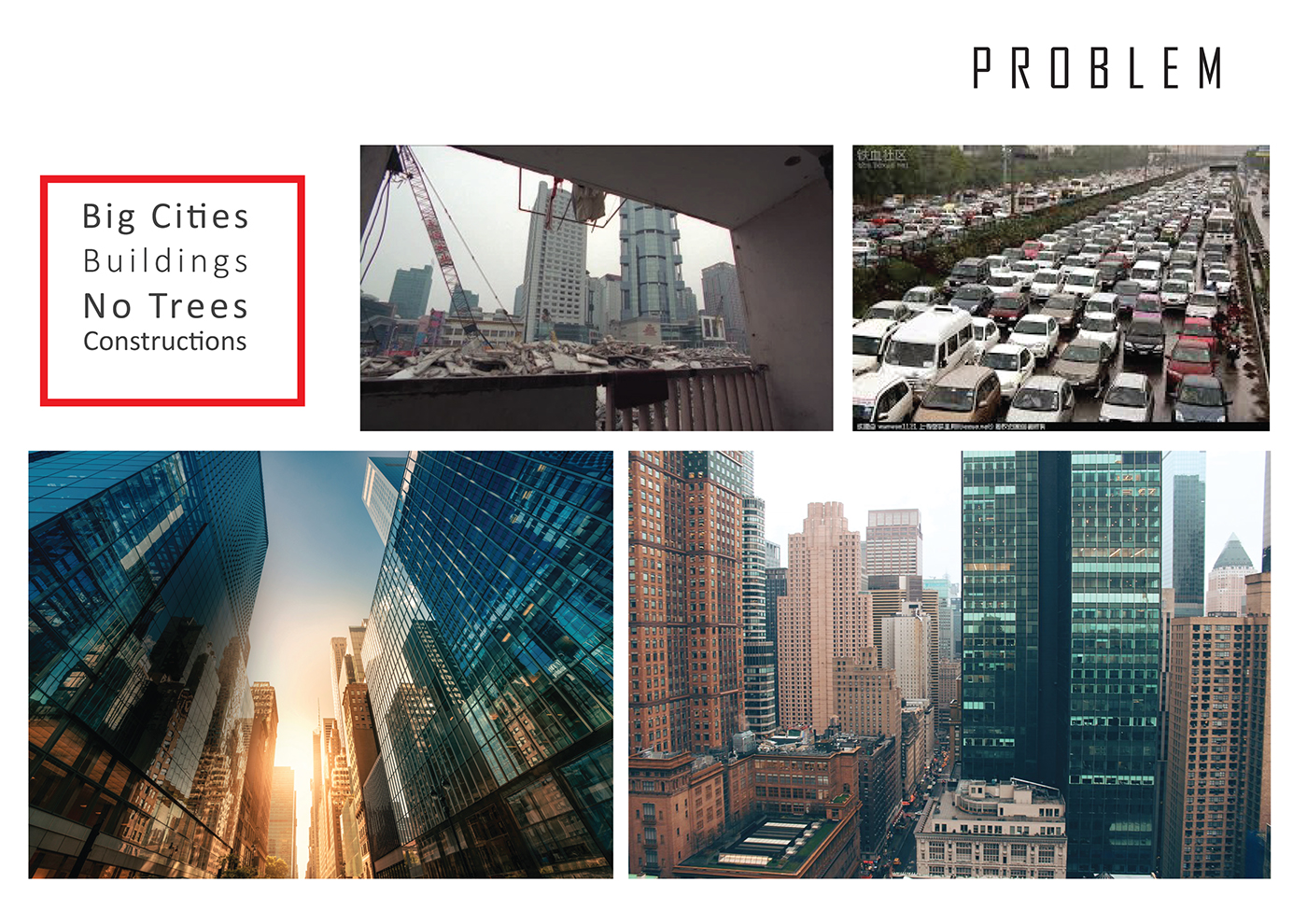 woodiness，cage，concise，