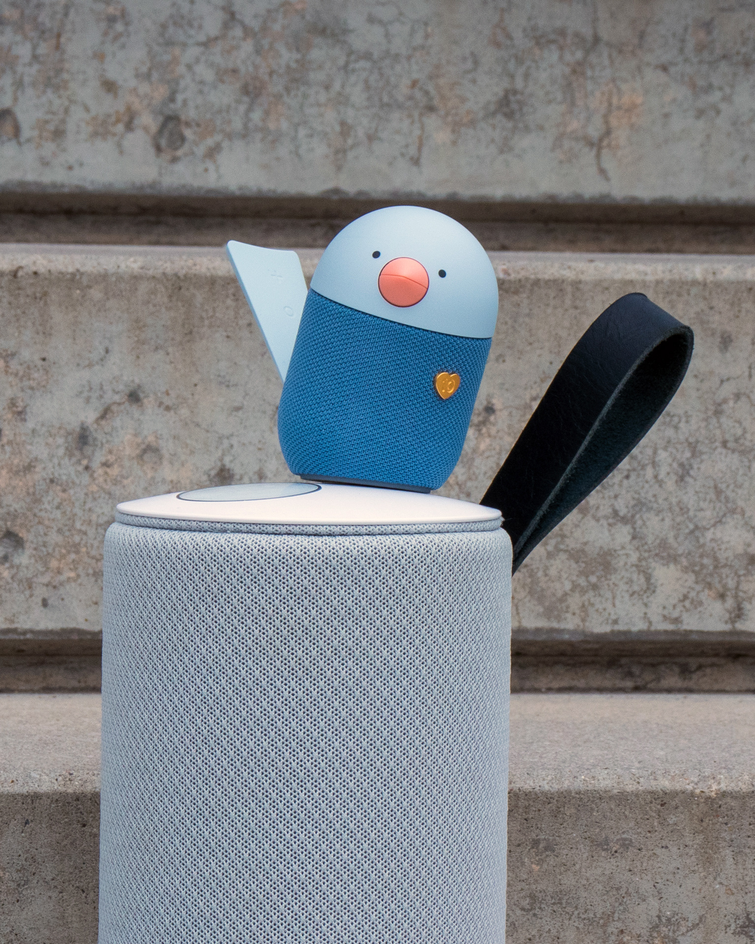 BIRDwatching，Digital，Bluetooth Speaker ，Intelligent voice assistant，