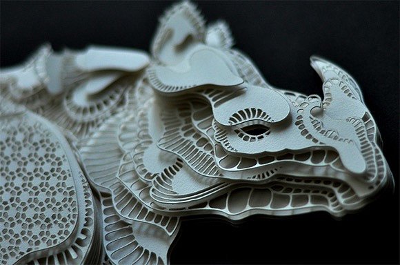 paper-cut，Watch for Animals，Art，World Wide Fund for nature，