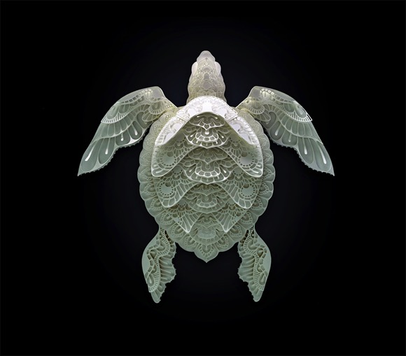 paper-cut，Watch for Animals，Art，World Wide Fund for nature，