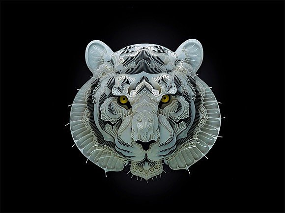 paper-cut，Watch for Animals，Art，World Wide Fund for nature，