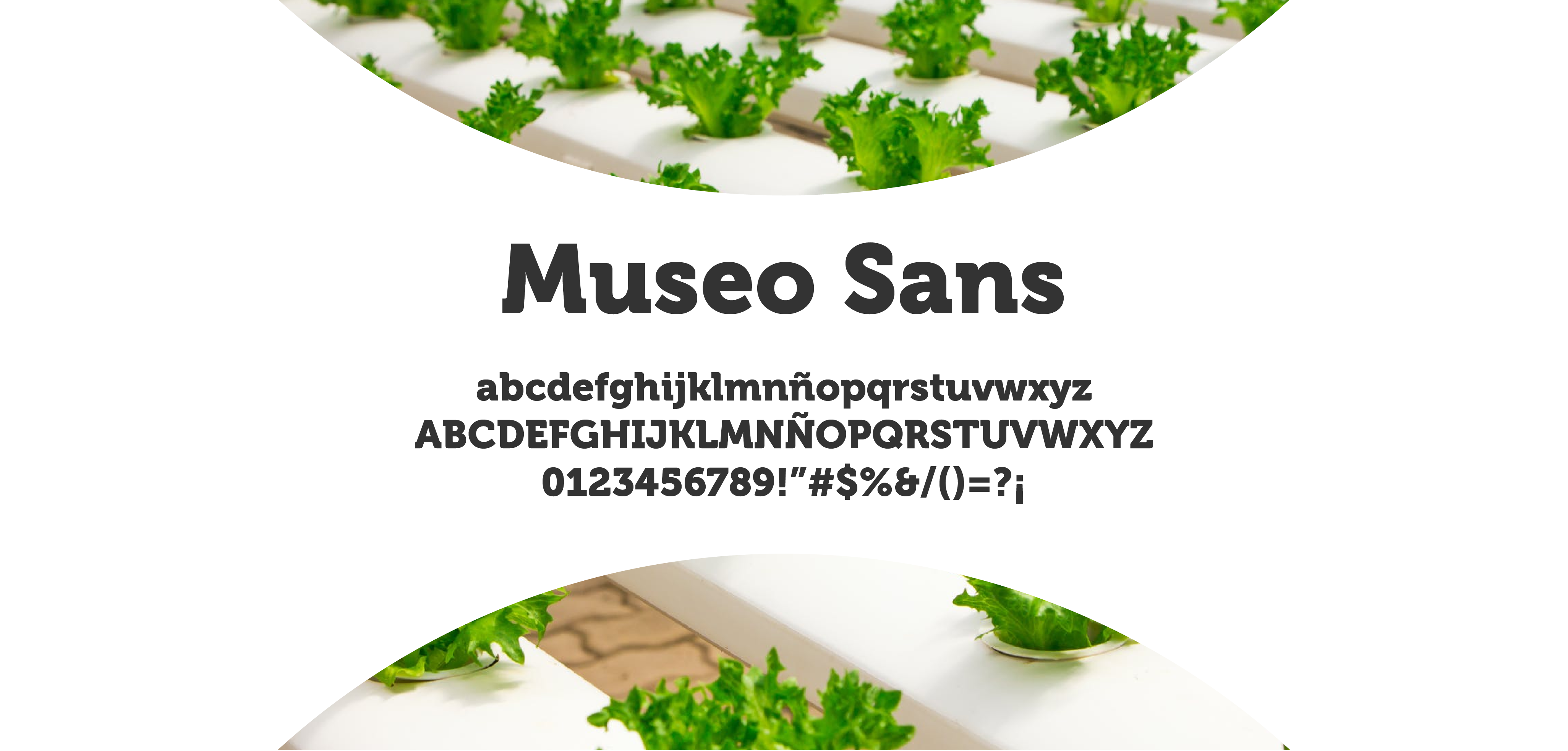 Packaging，graphicdesign，product design，salad，healthy，branding，identity，MEXICO，