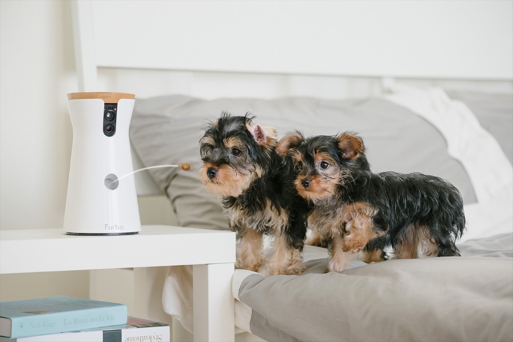 Intelligent feeder，Automatic recording，Remote interaction，Sound capture，