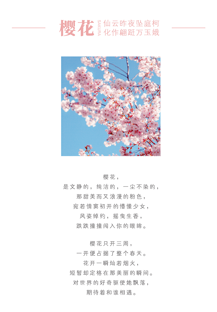 bookmark，Cultural creation，Original art，Metal bookmarks，Commercial design，