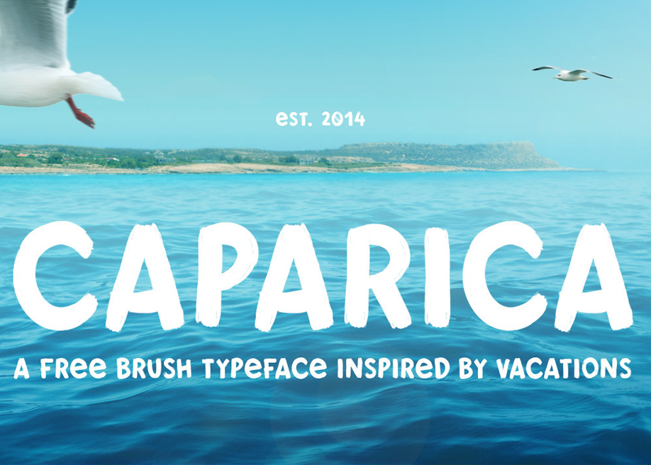 40 balance，Cool，typeface，Design，