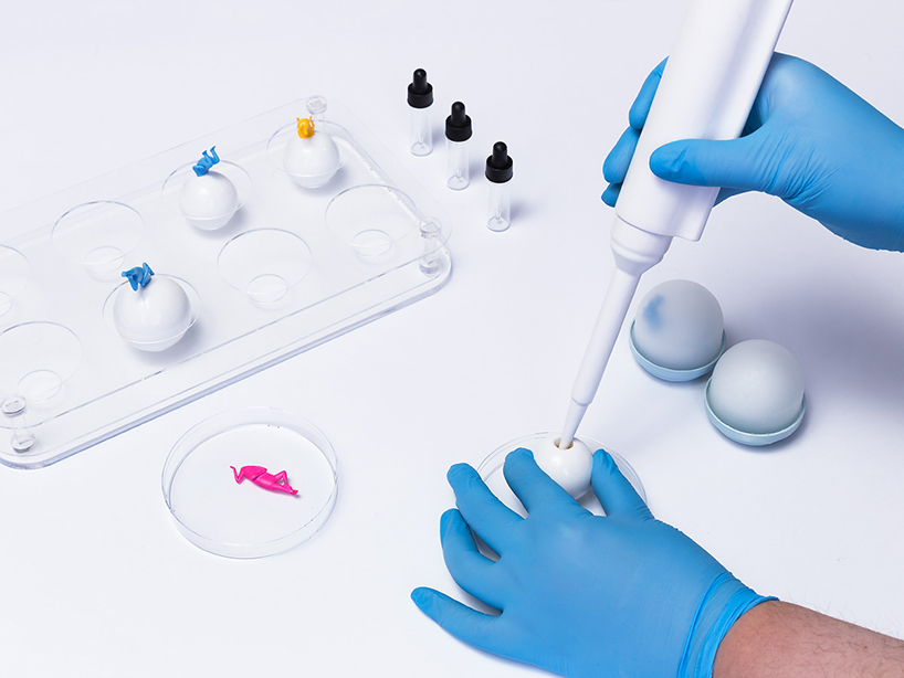 Gashapon ，doll，Male donor，