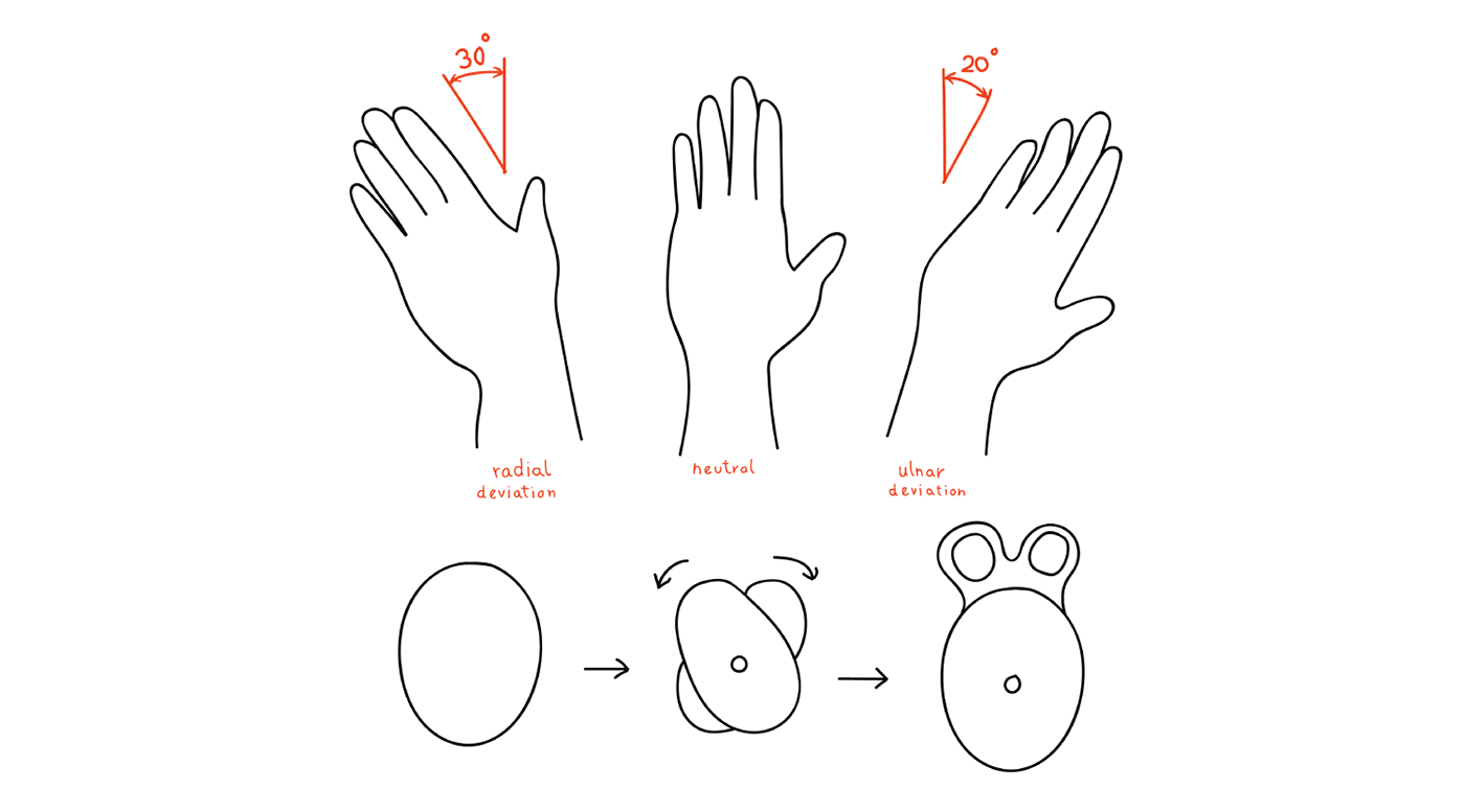 Fanny，wrist，Rehabilitation products，