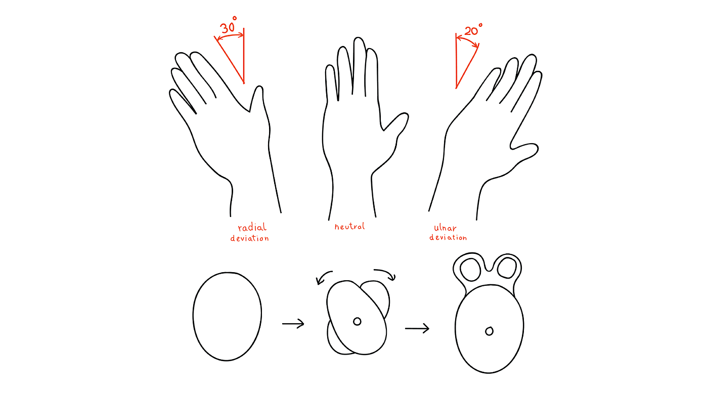 Fanny，wrist，Rehabilitation products，