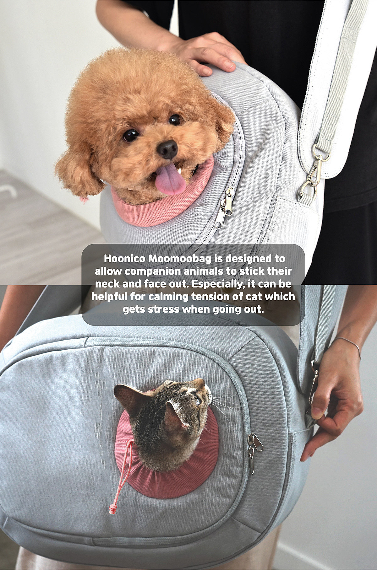 MOOMOOBAG，Pet Supplies & Pet，knapsack，product design，