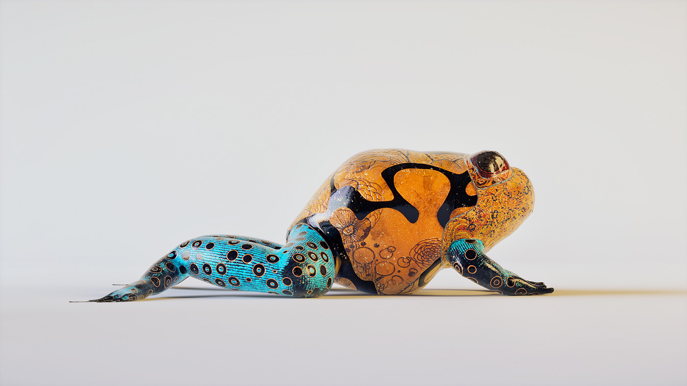 Color painting，animal，fish，bird，Collection，