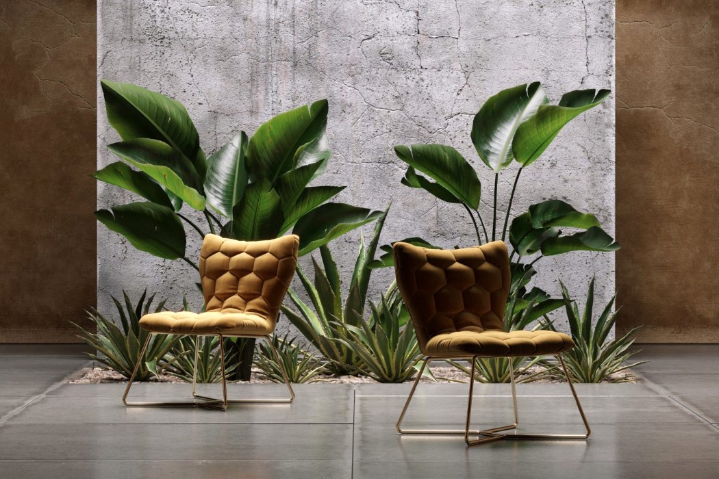 Domkapa，Portugal，sofa，Exhibits，House and use，