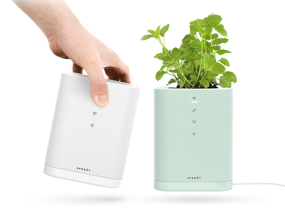 intelligence，garden，Botany，environment protection，