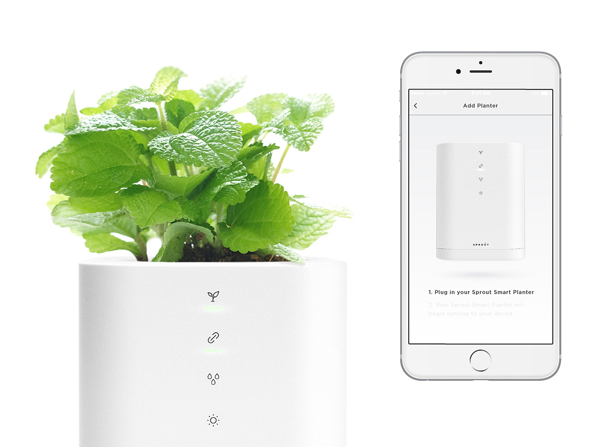 intelligence，garden，Botany，environment protection，