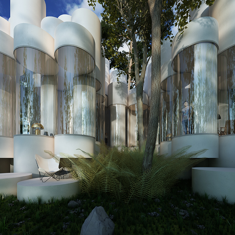 transparent，cylinder，quiet，forest，