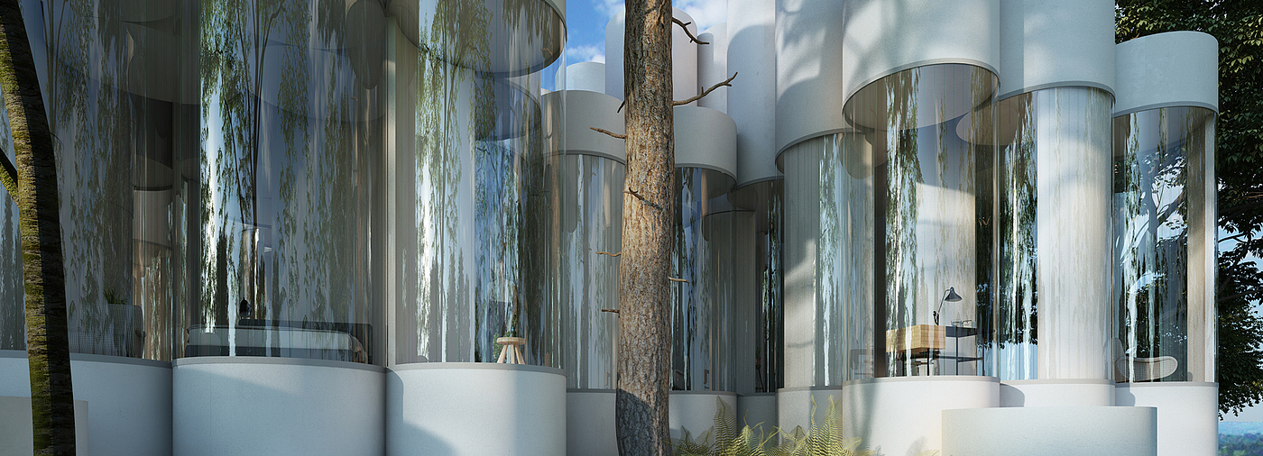 transparent，cylinder，quiet，forest，